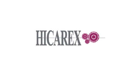 Hicarex használja a rakománytervezési szoftvert EasyCargo