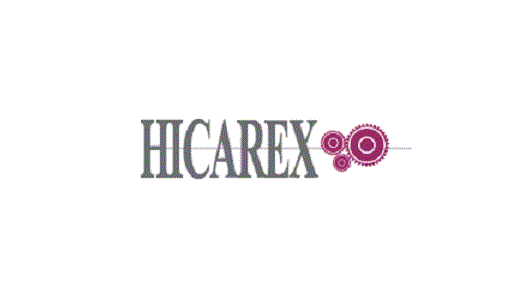 Hicarex utilise le logiciel de planification des chargements EasyCargo Hicarex utilise le logiciel de planification des chargements EasyCargo