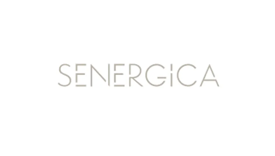 SENERGIA sử dụng phần mềm cho kế hoạch tải hàng EasyCargo