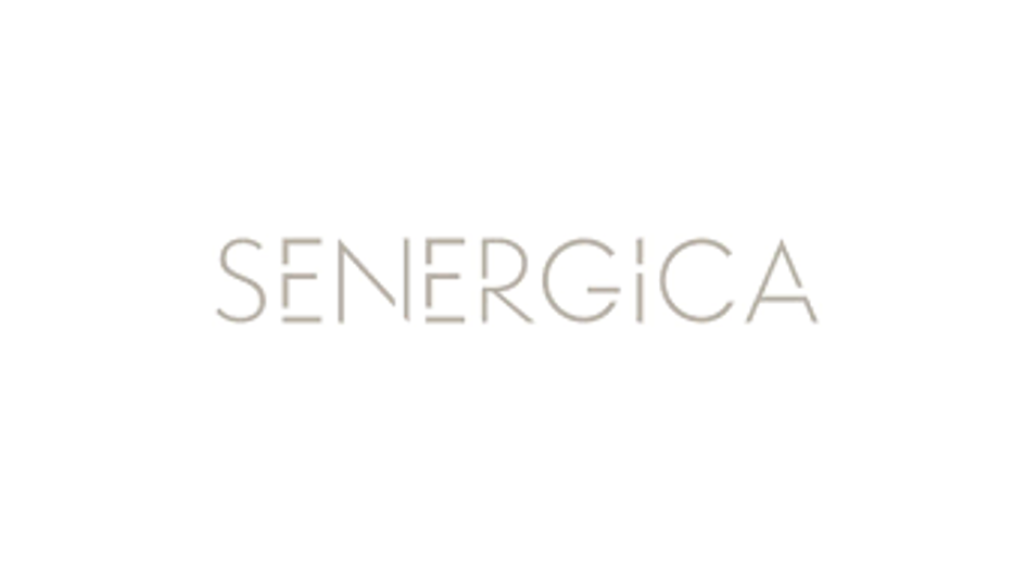 SENERGIA utilise le logiciel de planification des chargements EasyCargo SENERGIA utilise le logiciel de planification des chargements EasyCargo