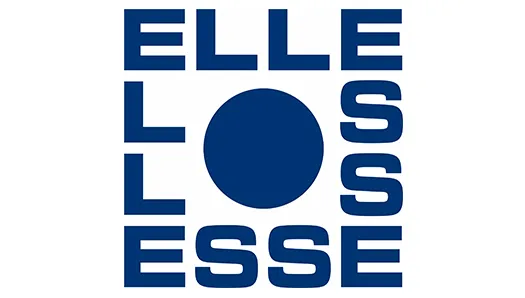 elleesse utiliza software para planear la carga EasyCargo