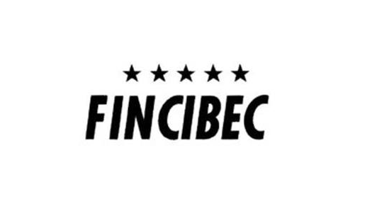 Fincibec utilise le logiciel de planification des chargements EasyCargo Fincibec utilise le logiciel de planification des chargements EasyCargo