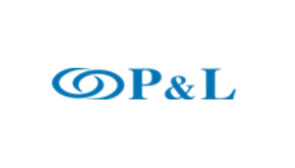 pnlinternational utilise le logiciel de planification des chargements EasyCargo pnlinternational utilise le logiciel de planification des chargements EasyCargo