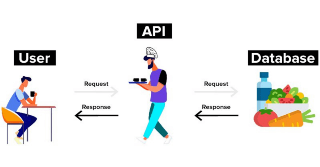 Le rôle de l'API