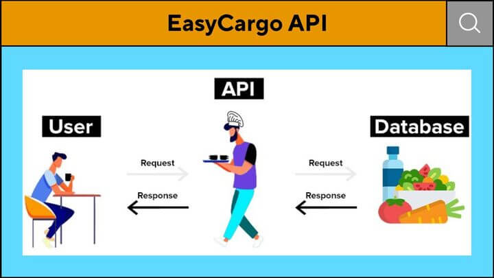 The role of API