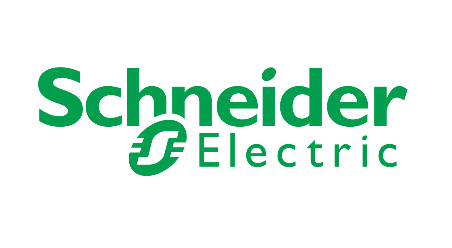 A logo of Schneider Electric, which is using EasyCargo load optimization software
